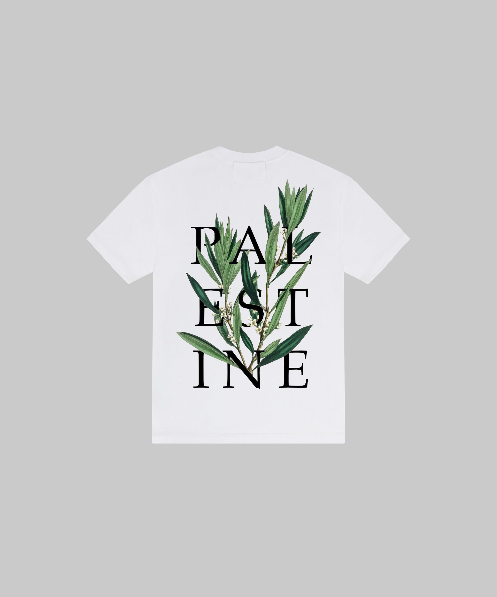 stem tee : sugar